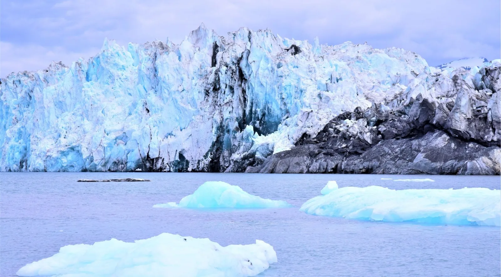 A bright blue glacier face with freshly calved bergy bits floating in front of it