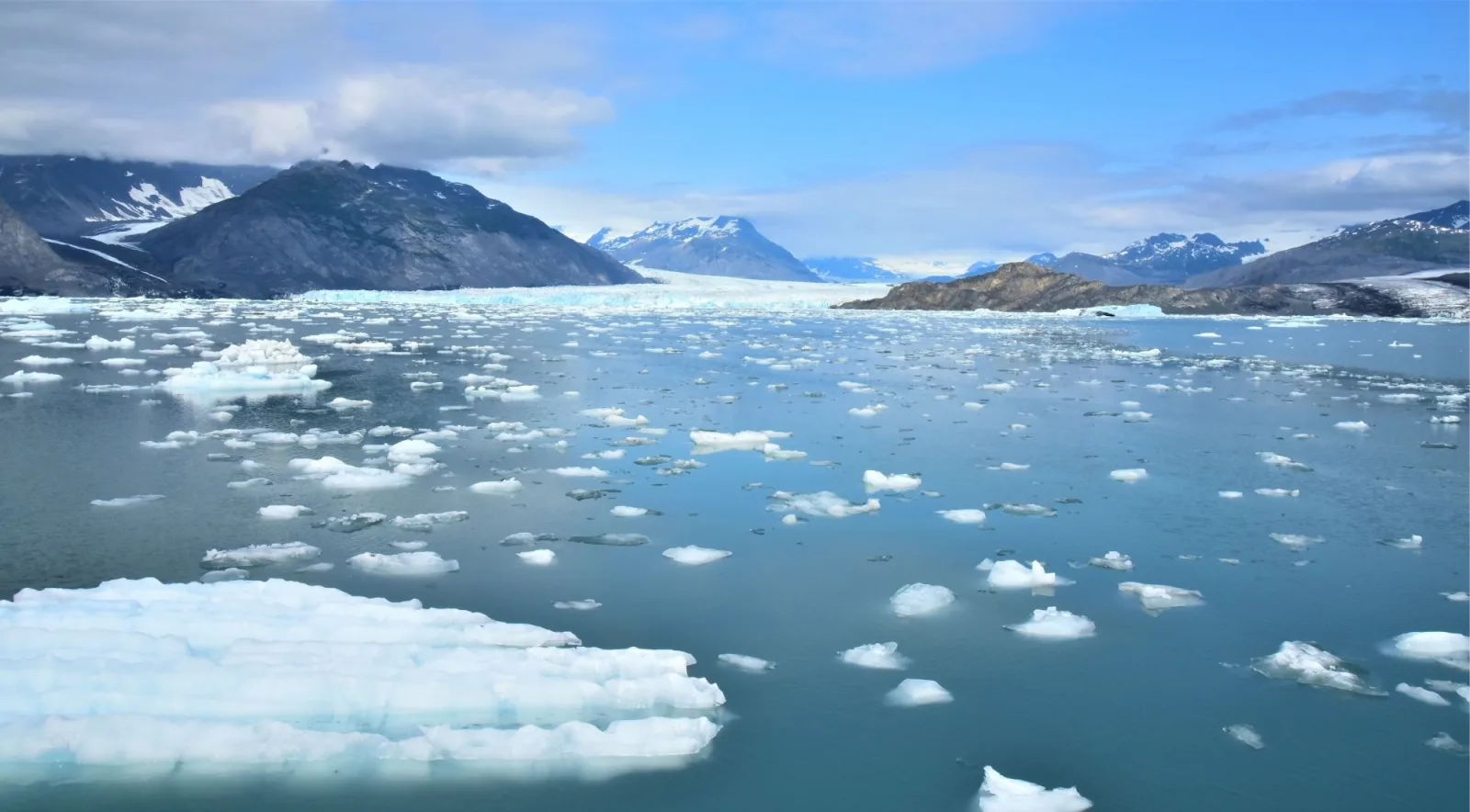 Brash ice and small icebergs spread across Columbia Bay under a bright sky