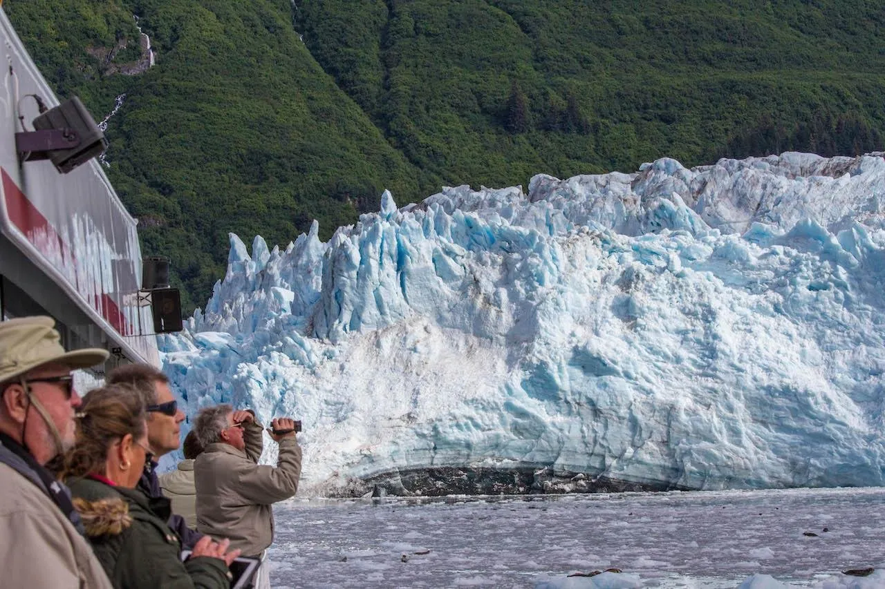 Meares Glacier & Wildlife Cruise from Valdez